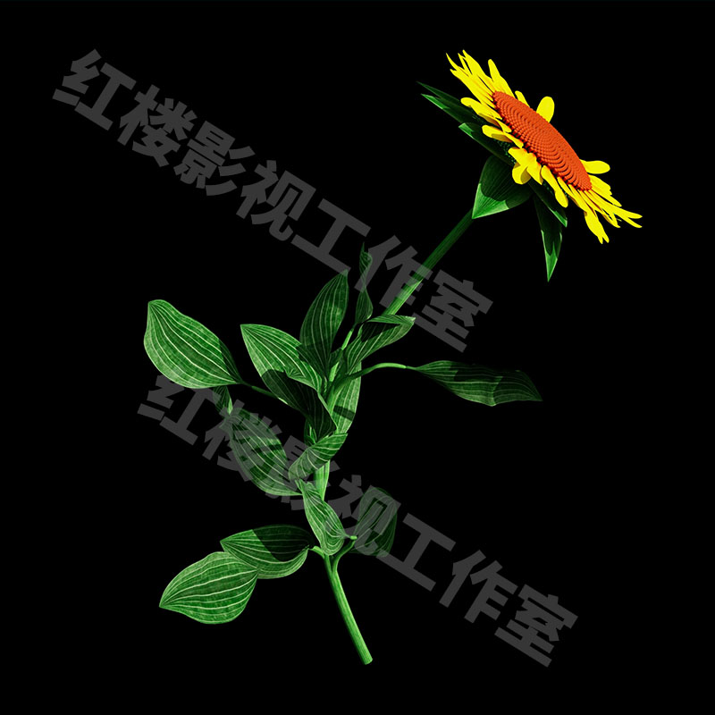 4K植物自然生长草生长树生长植物从无到有生长动画视频素材003-图2