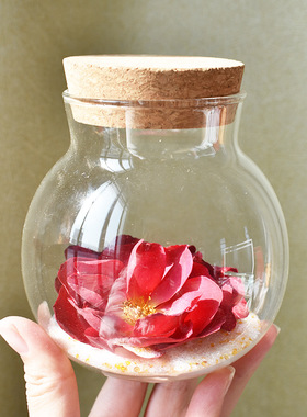 鲜花植物干燥剂永生花diy
