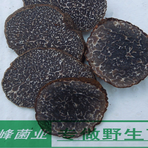 现货新鲜野生黑松露菌成熟黑色云南块菌猪拱菌白松露野生菌发顺丰 - 图2