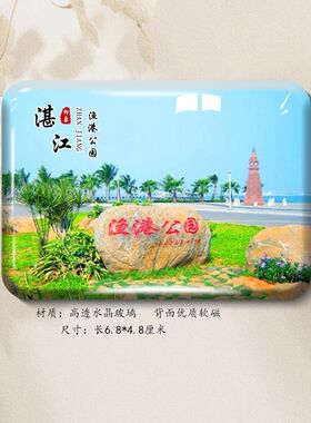 广东湛江旅游风景高透磁吸冰箱贴金沙湾南极村硇洲岛红嘴鸥纪念品