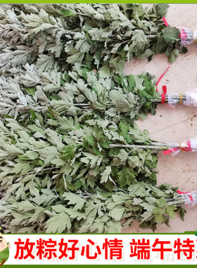 新鲜艾草菖蒲艾蒿端午节礼品挂件门整支带叶小孩洗澡驱蚊虫药用艾