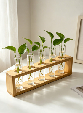 北欧风植物系木质玻璃试管水培瓶桌面摆件家居装饰品花器