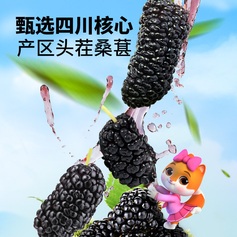 【可干吃可泡水】三只松鼠桑葚干250克罐装