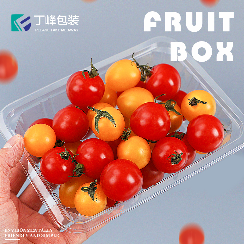 整箱一次性透明长方形黑色塑料托盘水果蔬菜生鲜外卖打包碗保鲜盒 - 图0