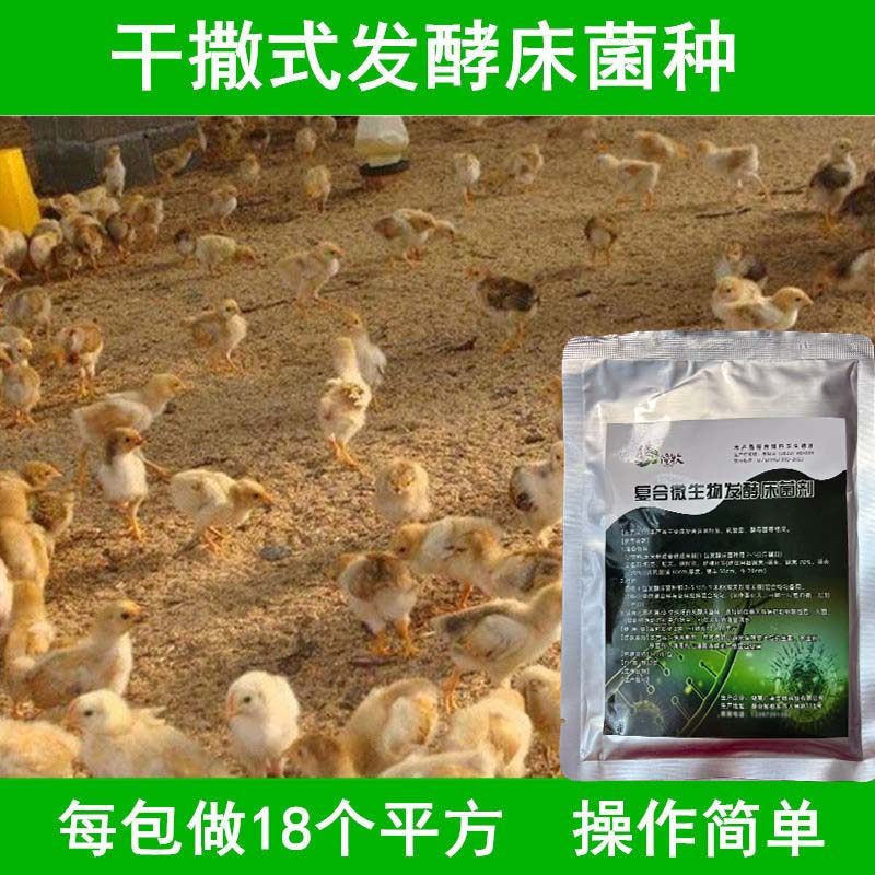 干撒式养鸡发酵床菌种阳台鸡舍垫料锯末粪便除臭发孝专用菌粉,淘宝优惠券,粉丝福利购,淘宝优惠卷