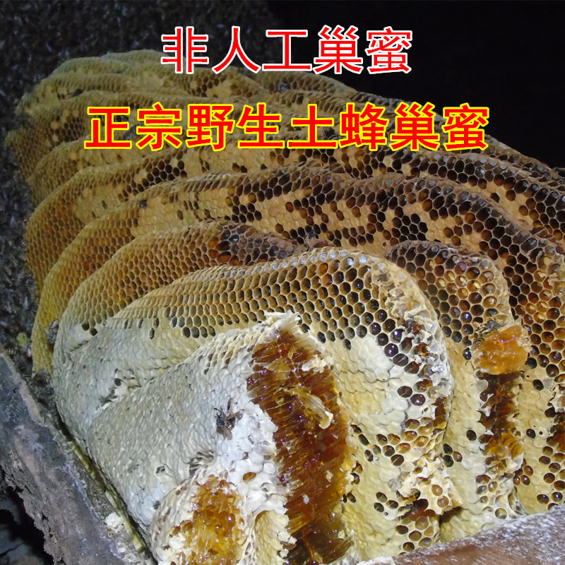 野生嚼着吃纯正天然老巢蜜蜂巢蜜 汉江美农蜂蜜