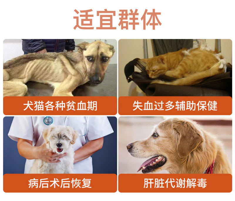 蓝特斯甘血维狗狗猫咪补血肝精蓝特斯狗猫贫血生血甘血维保肝护肝,淘宝优惠券,粉丝福利购,淘宝优惠卷