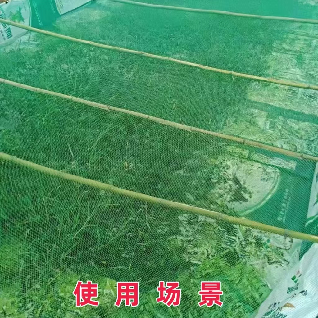 渔网抬网箱加厚无结网片网布尼龙网球场围网养鸡网防鸟网天网耐用 - 图1