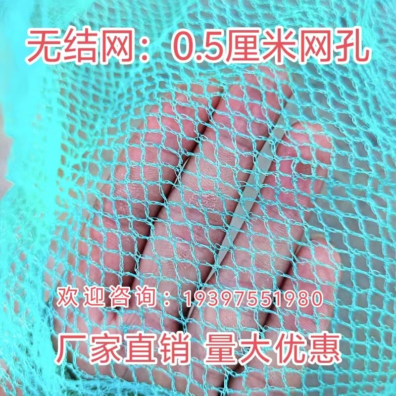 渔网抬网箱加厚无结网片网布尼龙网球场围网养鸡网防鸟网天网耐用 - 图0