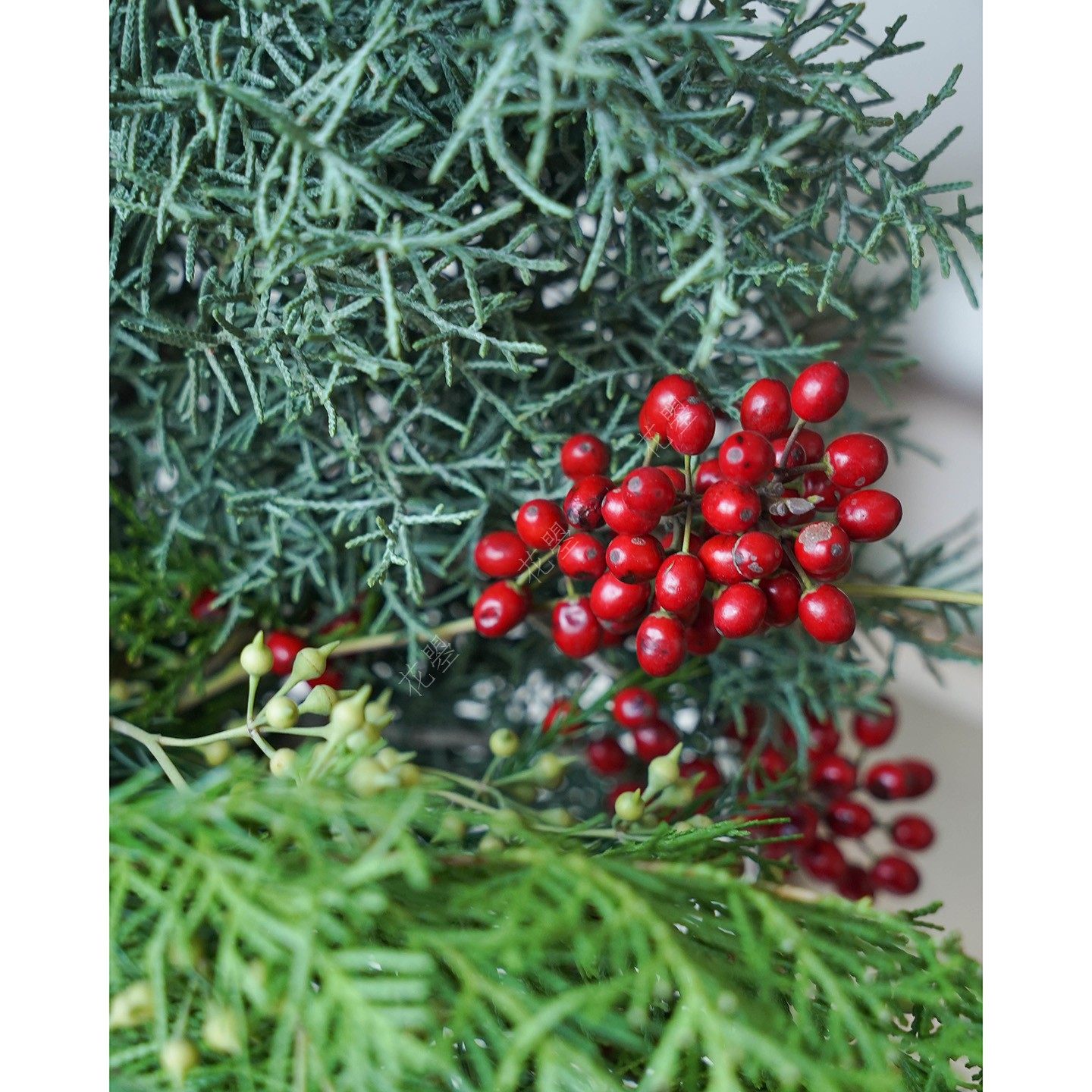 混搭插花鲜花水养真花新鲜松枝鲜切松树枝雪花松冬青红果花瓶插花,淘宝优惠券,粉丝福利购,淘宝优惠卷