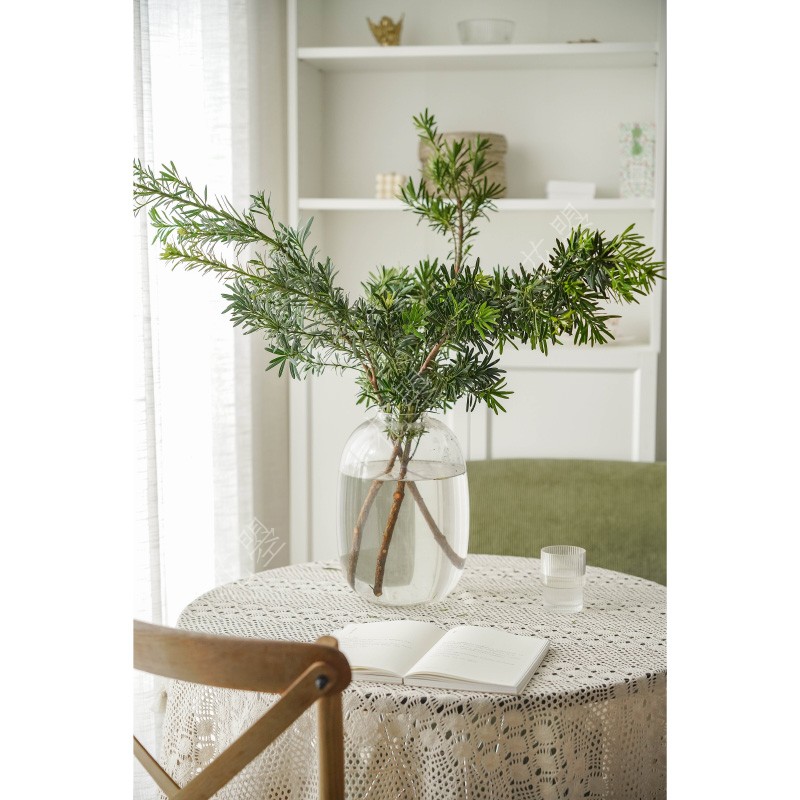 花曌 超长待机室内鲜切植物罗汉松枝鲜切枝条水养家居瓶插花鲜花,淘宝优惠券,粉丝福利购,淘宝优惠卷