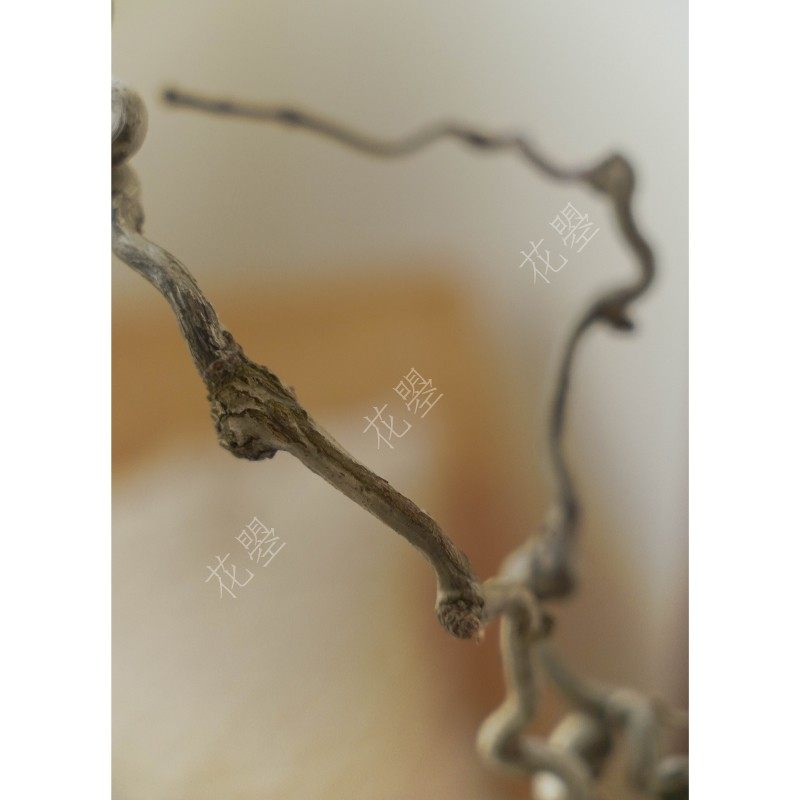 花曌 真树枝枯枝龙爪枣枝酒店民宿造景诧寂风装饰家居摆件中式,淘宝优惠券,粉丝福利购,淘宝优惠卷