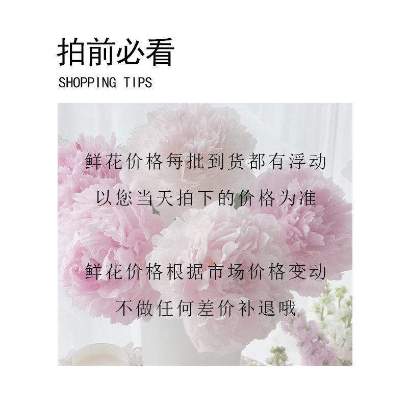 花曌 新鲜采摘广玉兰马尾松红豆组合花艺鲜花水养真花家居瓶插花,淘宝优惠券,粉丝福利购,淘宝优惠卷