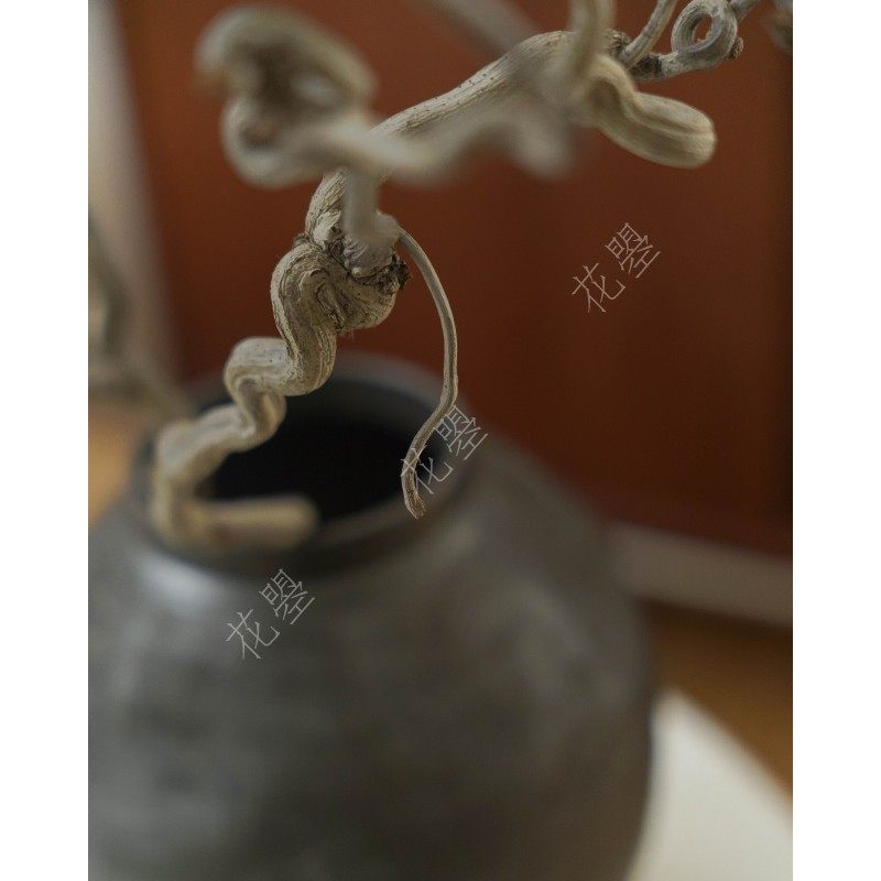 花曌 真树枝枯枝龙爪枣枝酒店民宿造景诧寂风装饰家居摆件中式,淘宝优惠券,粉丝福利购,淘宝优惠卷