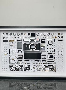 简约样板间真机拆解装饰画canom