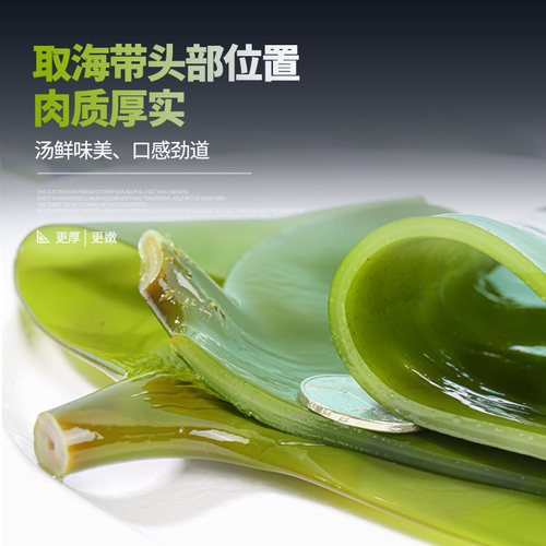 【海芝宝】3袋有机海带丝海带结海带头海带块新鲜凉拌火锅荣成 - 图2