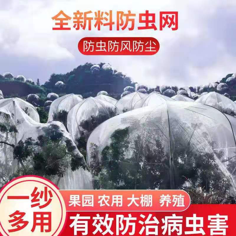 防虫网窗纱网防蚊子苍蝇大棚果树杨梅树农用养猪场加厚加密白色