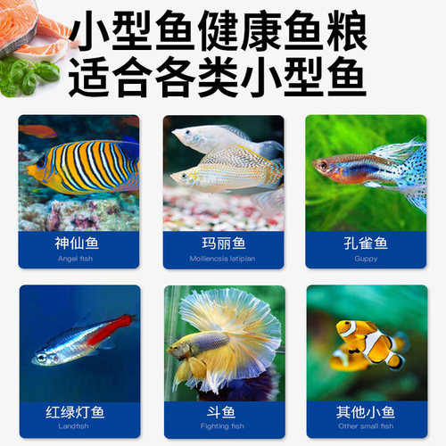 孔雀凤尾灯科鱼饲料鱼粮微小颗粒热带鱼食观赏小型鱼增彩鱼虫干粮 - 图1