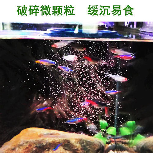 孔雀凤尾灯科鱼饲料鱼粮微小颗粒热带鱼食观赏小型鱼增彩鱼虫干粮 - 图2