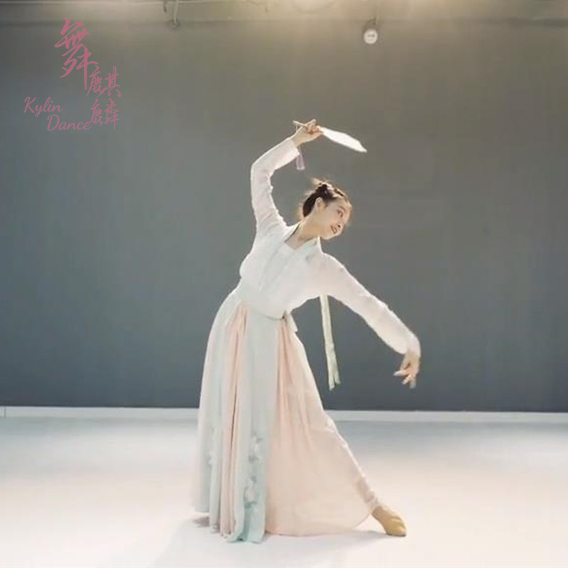 2021新款古典舞怎叹独舞群舞舞蹈服班服汉唐风演出服女表演服定制_虎窝淘