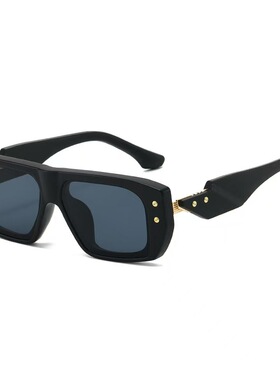 小众风高级感米钉太阳眼镜女时尚