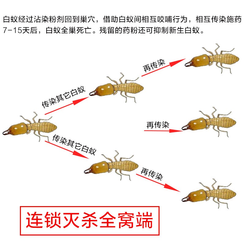 大功达灭白蚁药杀虫粉剂白蚁诱杀装修地板预防白蚁传染全窝端家用_虎窝淘