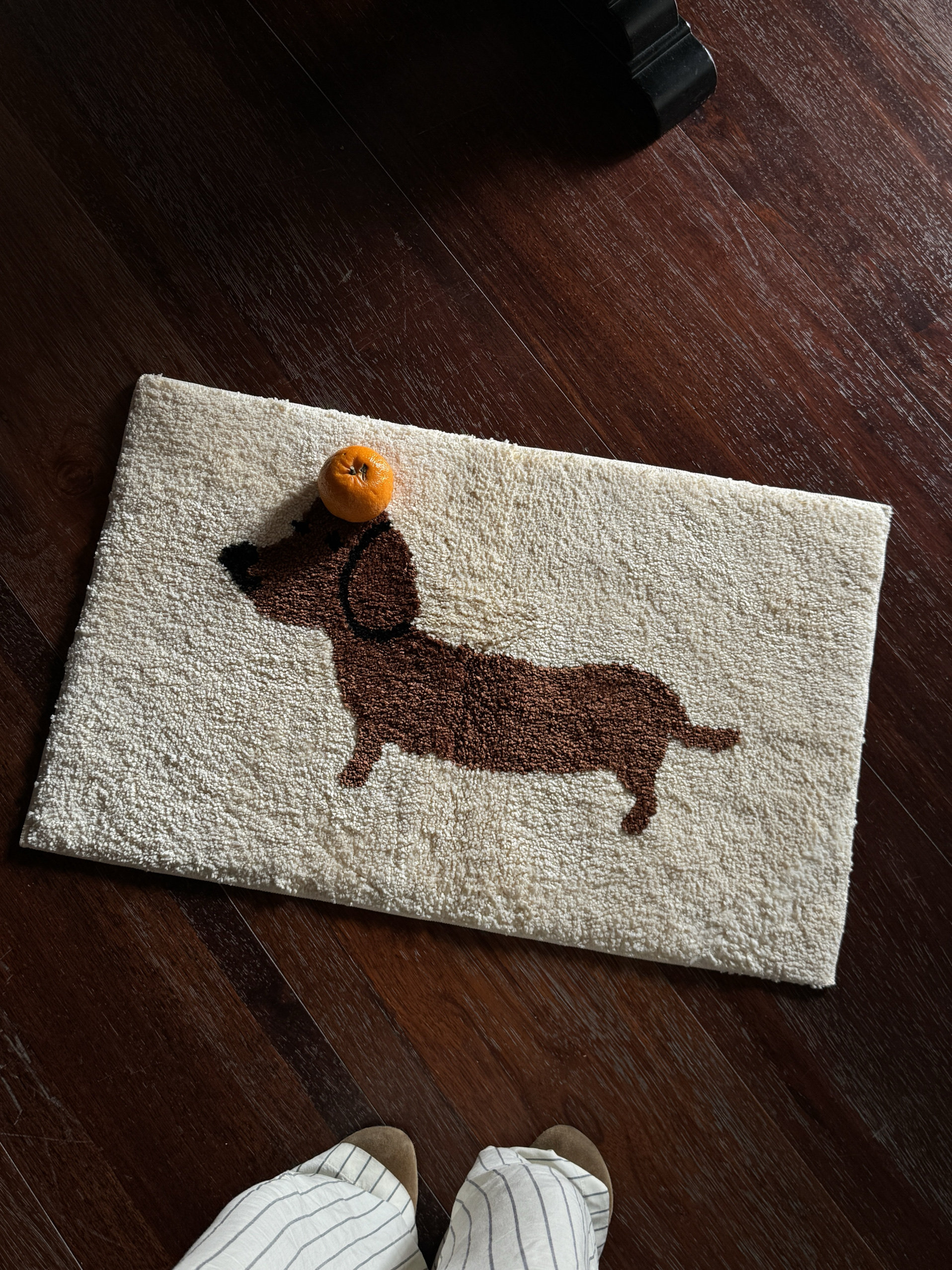 ARISUSPACE好运腊肠小狗韩式簇绒地垫入户地垫脚垫门垫吸水防滑,淘宝优惠券,粉丝福利购,淘宝优惠卷