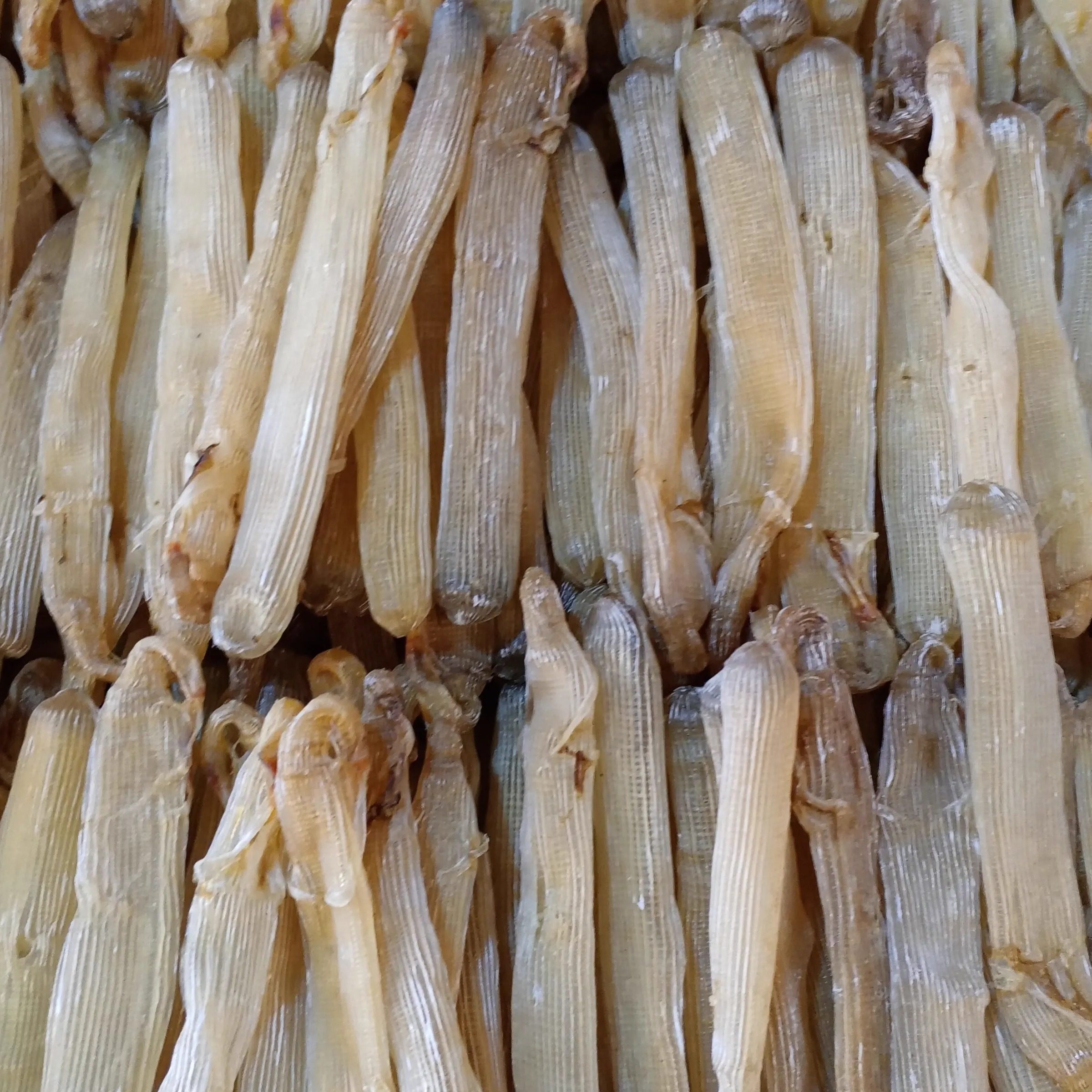 新货正宗广西北海特产野生沙虫干中大号沙虫干货美食海肠子非湛江,淘宝优惠券,粉丝福利购,淘宝优惠卷