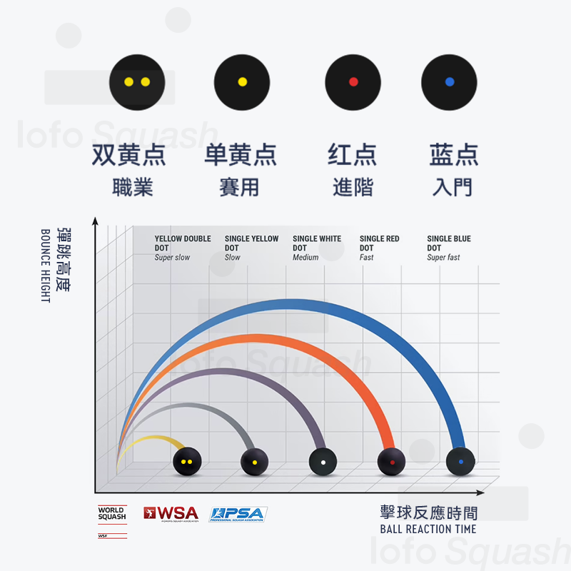 奥立弗OLIVER蓝点红点单黄点壁球正品初学新手入门比赛弹性壁球 - 图0