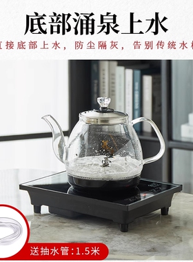 金为全自动18x25底部上水单炉电茶炉烧水壶玻璃不锈钢泡茶专用