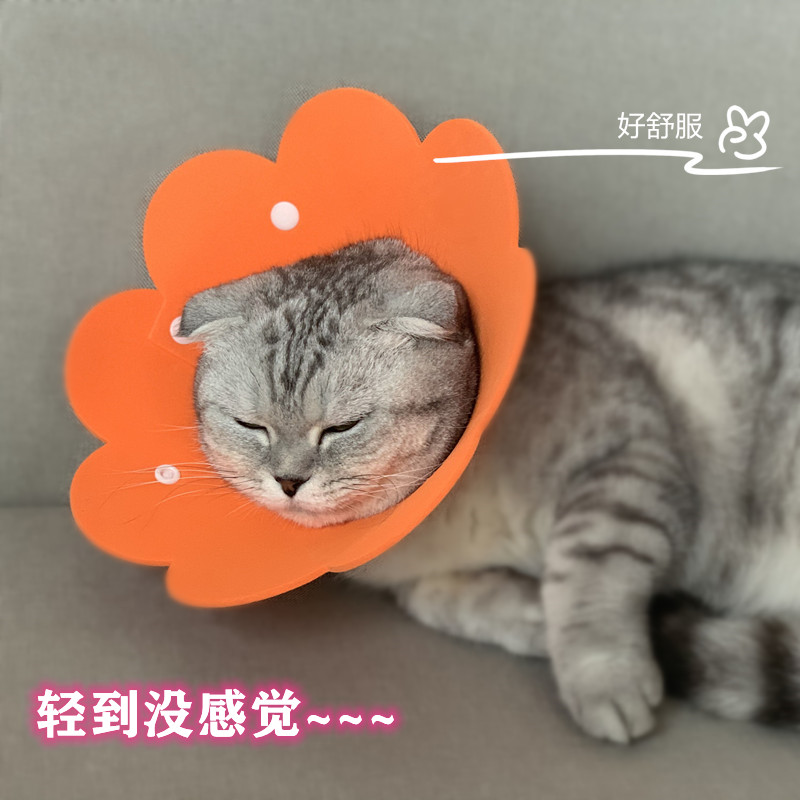 猫咪伊丽莎白圈猫脖圈狗项圈太阳花EVA海绵轻薄防舔头套绝育用品 - 图0