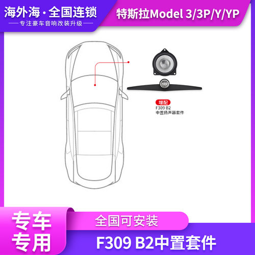 特斯拉model3/Y/P蓝驱B2中置音响喇叭激活线DSP功放无损升级改装 - 图2