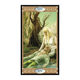 Imported genuine Elf Kingdom Tarot Tarot of the Elves Italian board game card