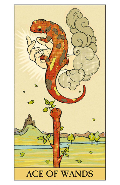 进口正版 续伟特塔罗牌 After Tarot 后韦特意大利 桌游卡牌 - 图2