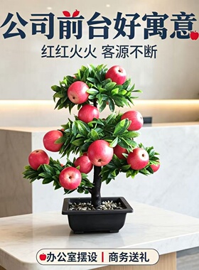 仿真苹果盆栽摆件新居乔迁礼品复古家居装饰果树盆景