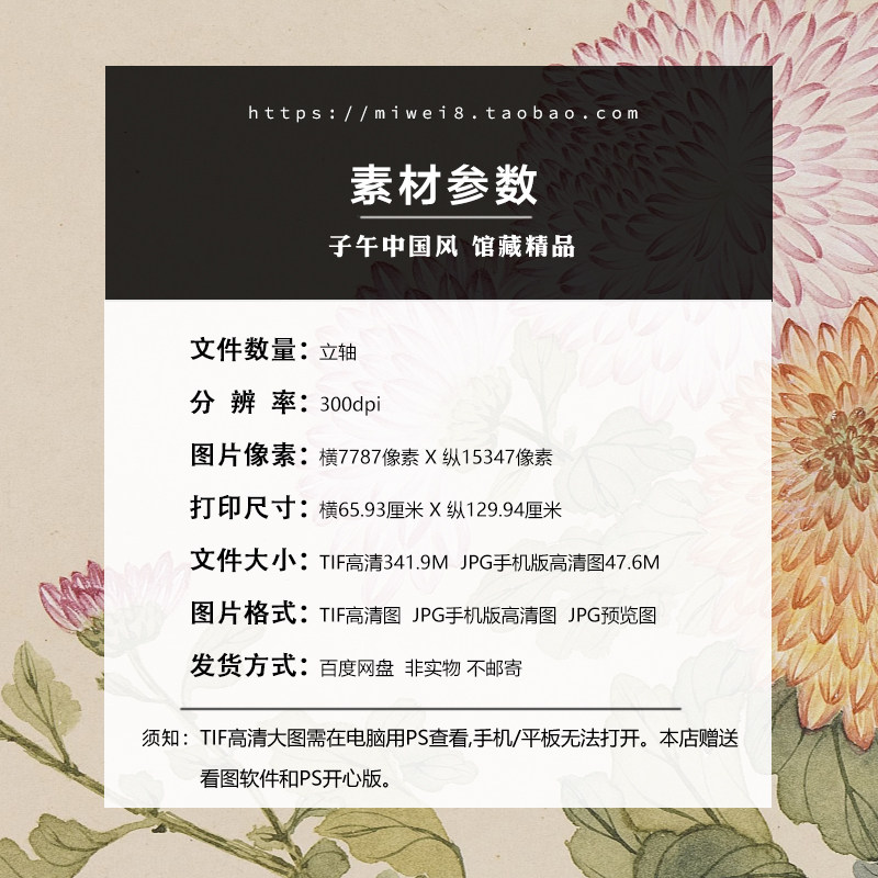 邹一桂画菊图轴清朝古代工笔白红紫黄菊花绘画高清电子版图片素材