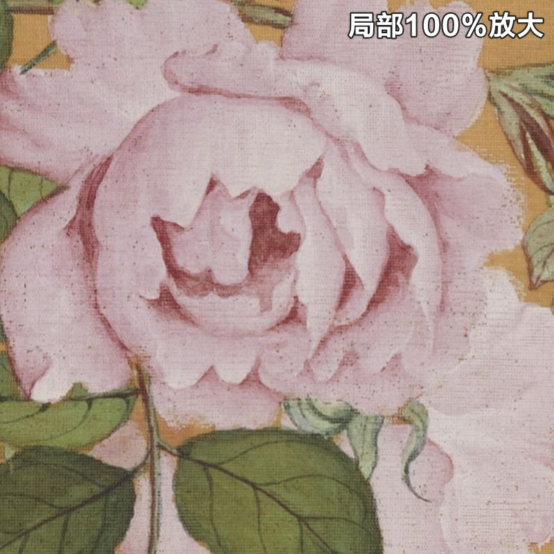 郎世宁万寿长春图轴清朝古代工笔灵芝奇石花卉装饰画高清电子图片