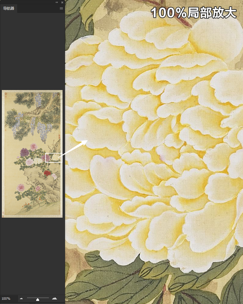 邹一桂花卉图轴清朝古代工笔菊花绘画装饰临摹高清电子版图片素材