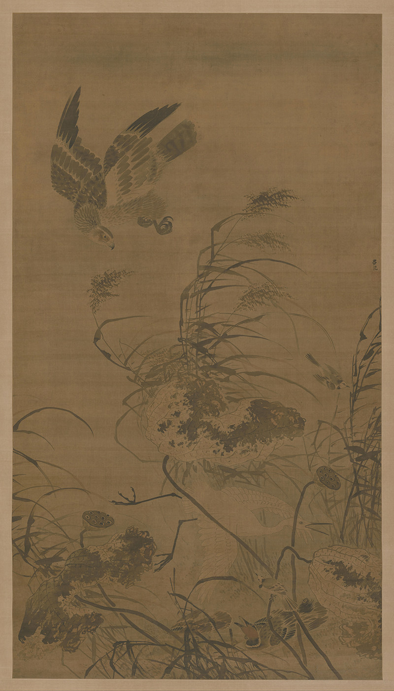 吕纪残荷鹰鹭图明朝古代荷花老鹰绘画装饰打印高清电子版图片素材