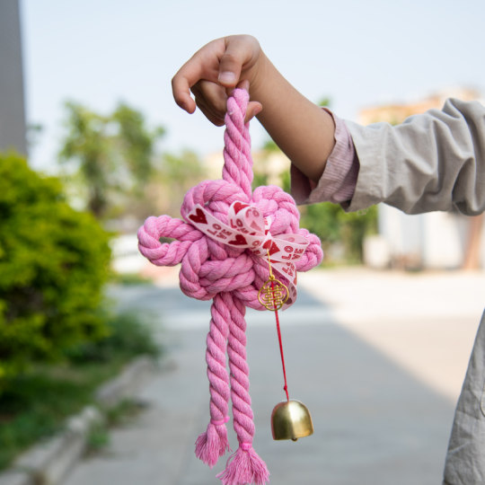 乔迁新居春天挂饰挂件节日过年春节年宵场景布置道具喜庆门挂装饰