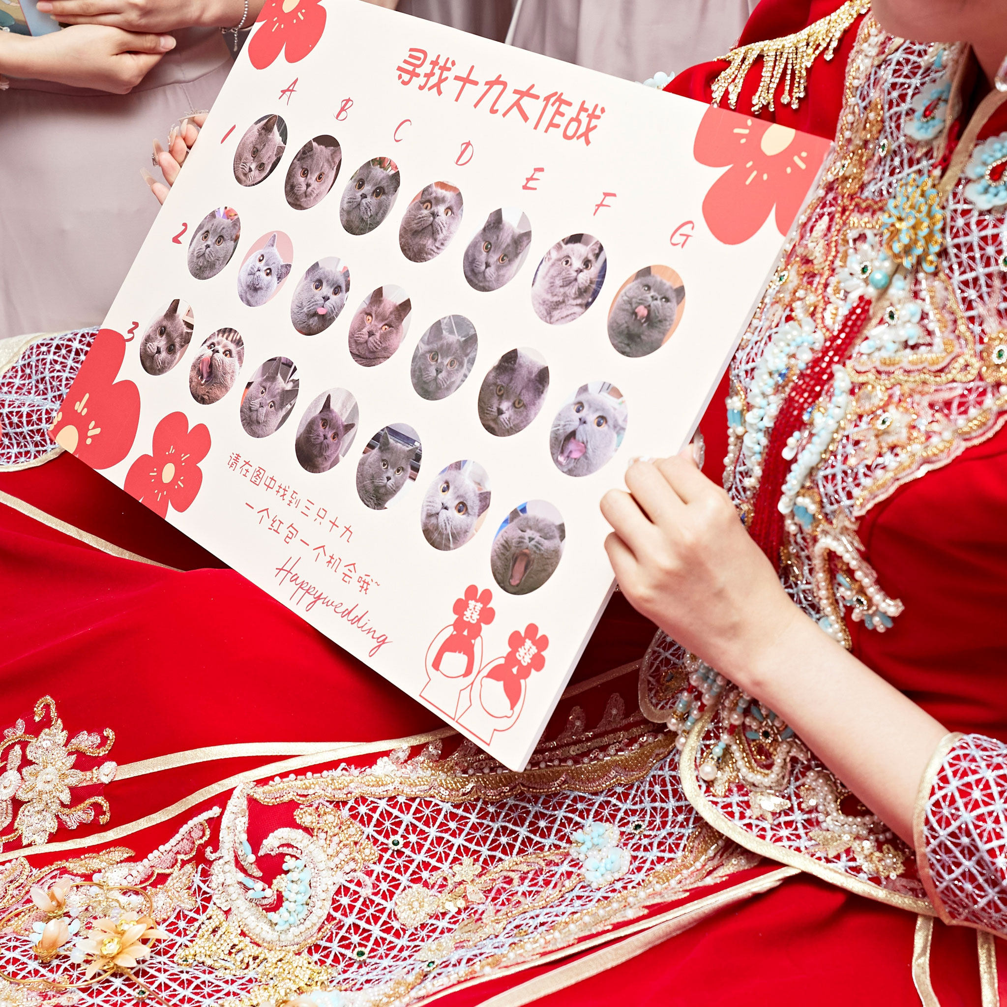 定制接亲找宠物狗狗猫猫游戏道具婚礼创意 结婚拦堵门 认猫咪狗子,淘宝优惠券,粉丝福利购,淘宝优惠卷