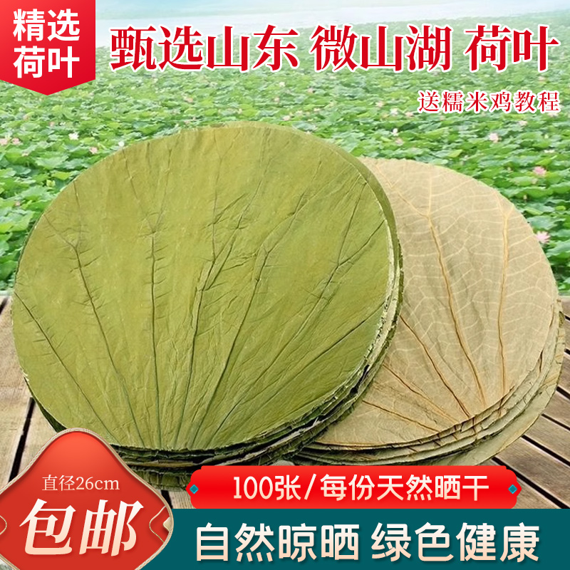 微山湖整张圆形荷叶26CM荷叶饭荷叶茶糯米鸡蒸笼木桶饭100片/份包 - 图0