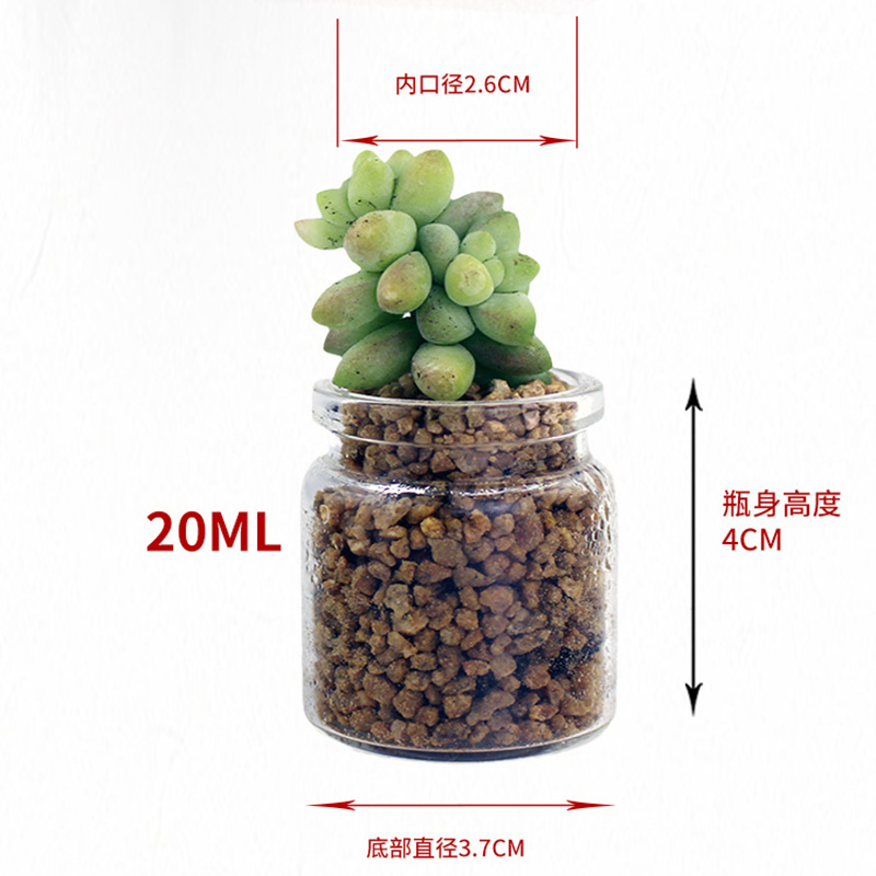 包邮小花瓶种多肉的玻璃瓶无孔小草肉肉小罐叶插苗特小拇指杯圆柱 - 图2