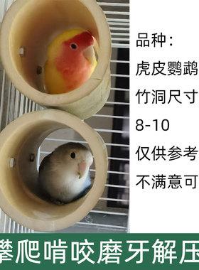 竹洞仓鼠躲避隧道玩具金丝熊造景豚鼠荷兰猪刺猬躲避解闷迷宫避窝