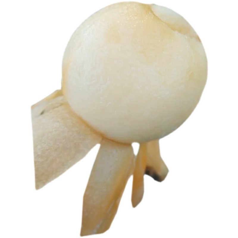 贵妃枇杷树苗嫁接白肉琵琶白沙果树苗盆栽地栽常绿苗木果苗春花,淘宝优惠券,粉丝福利购,淘宝优惠卷