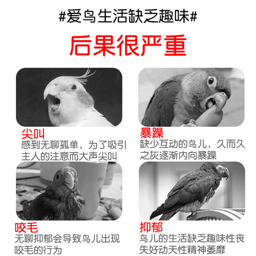 鹦鹉玩具解闷自嗨转转乐啃咬磨牙益智玄凤小太阳虎皮珍珠小鸟专用 - 图0