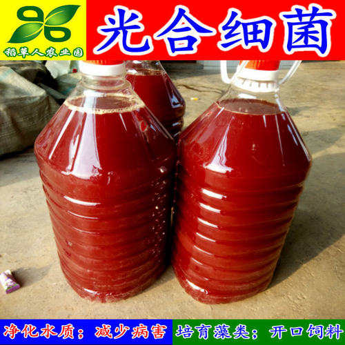 光合细菌培养基 鳝宝消化族鱼虾蟹水产渔药 净化水质PSB菌种 包邮 - 图1