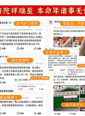 普陀山好运手工蛇太岁化护身符红