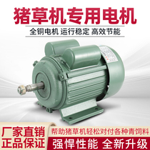 Pig Grass Machine Green Feed Machine Assorted Motor High Power Copper Cored Wire Motor Small Household Grass Breaking Machine Assorted Motor