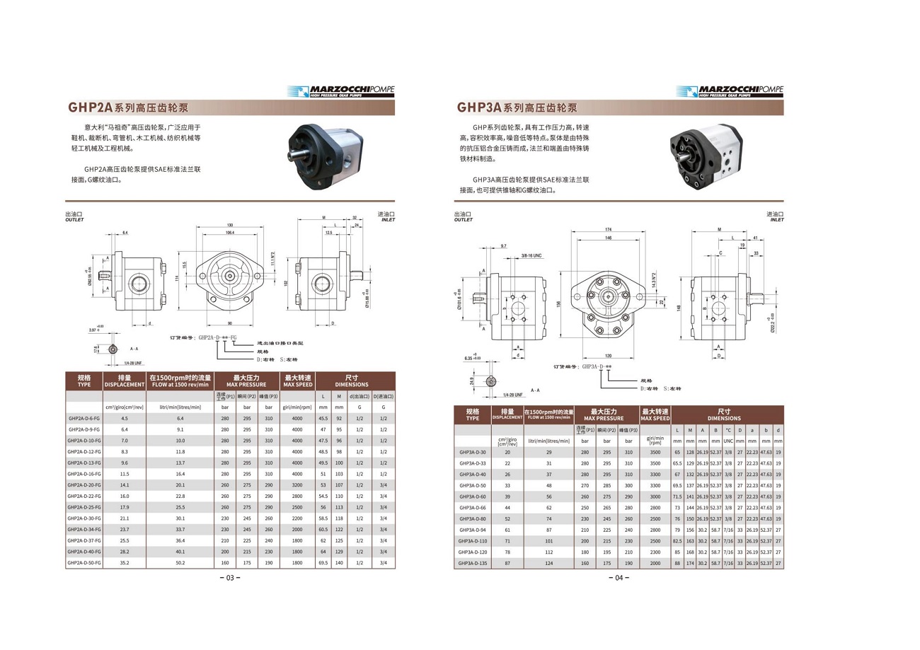marzocchi意大利马祖奇齿轮泵GHP1A-D-2-FG GHP1A-D-3-FG GHP1A-S - 图1